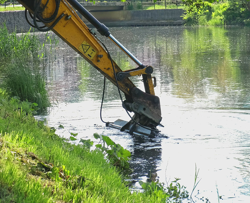 pond2