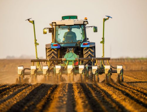 Farm & Field Leveling Concepts for Better Access and Drainage