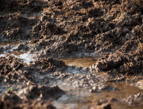 Low Spots That Stay Muddy for Days in Kenosha