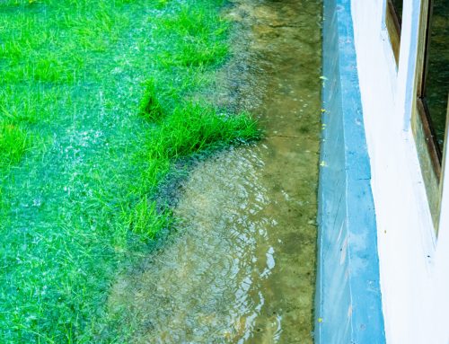 Yard Keeps Flooding Toward the House in Burlington, WI