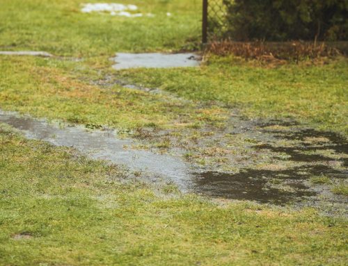 Why Is Water Running From My Neighbors Yard Into Mine?