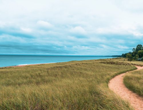 Why Is My Shoreline Dropping Into Lake Michigan This Week?